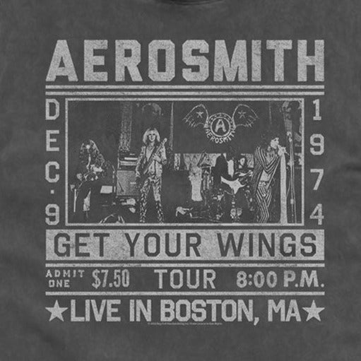 Aerosmith Wings Tour 74 Comfort Colors T-Shirt product image 2