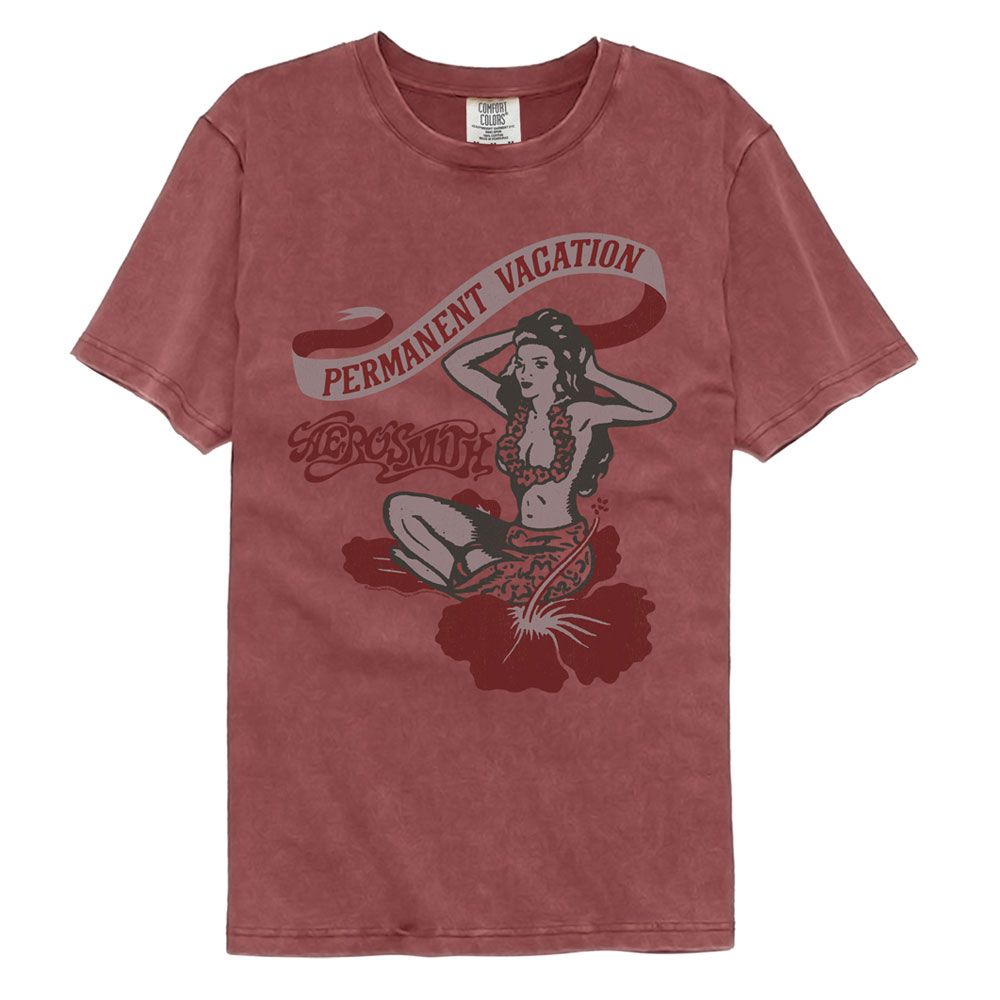 Aerosmith PV Comfort Colors T-Shirt product image 1