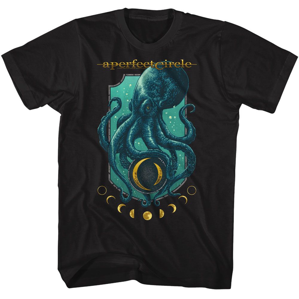 A Perfect Circle Octo Moon Phase T-Shirt product image 1