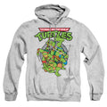 Teenage Mutant Ninja Turtles TMNT Group Heather Pullover product image 1